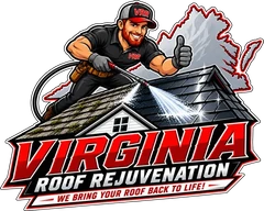 Virginia Roof Rejuvenation. We Bring Your Roof Back to Life.